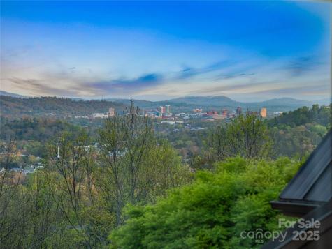 10 Beaverbrook Court Asheville NC 28804