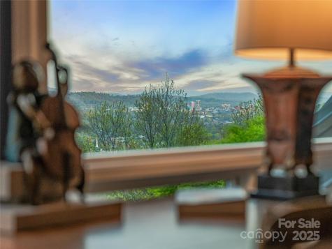 10 Beaverbrook Court Asheville NC 28804