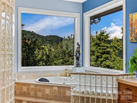 10 Beaverbrook Court Asheville NC 28804