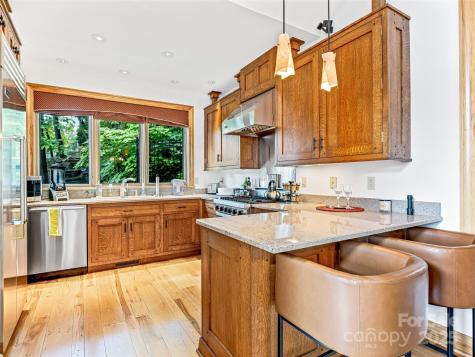 10 Beaverbrook Court Asheville NC 28804