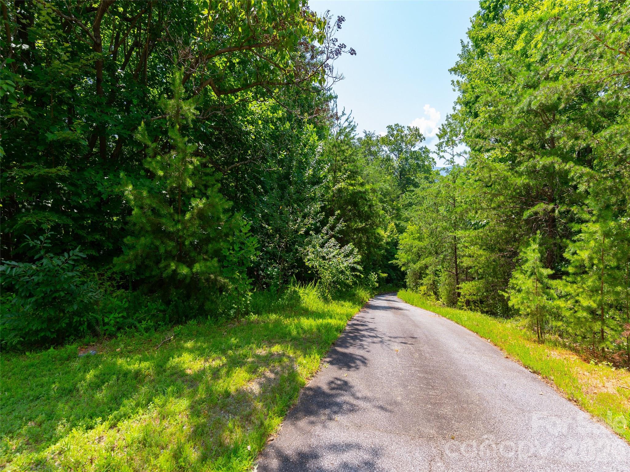 142 Elkton Court Mill Spring NC 28756