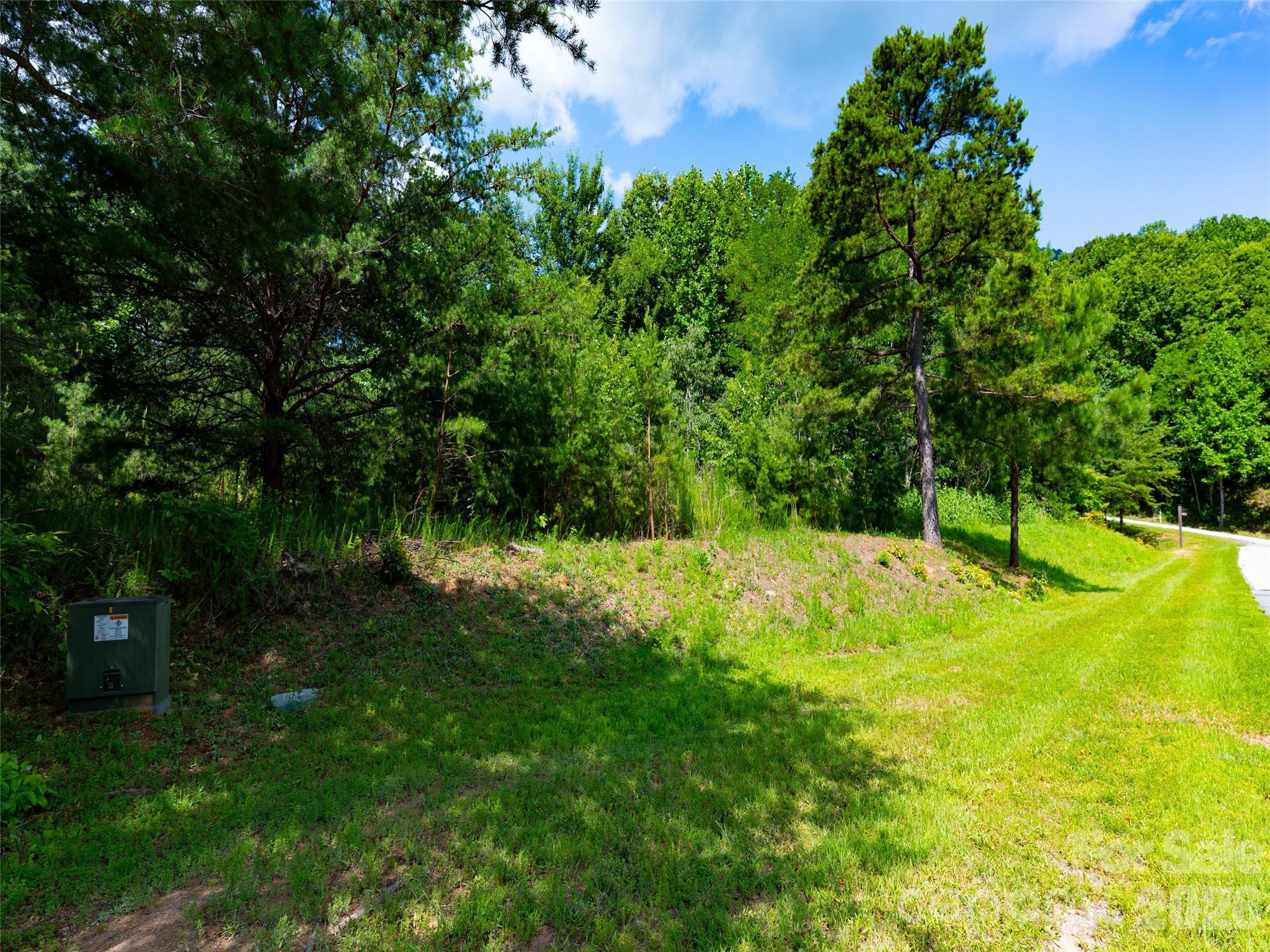 142 Elkton Court Mill Spring NC 28756