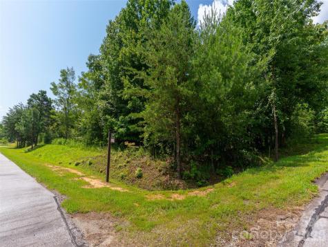 142 Elkton Court Mill Spring NC 28756