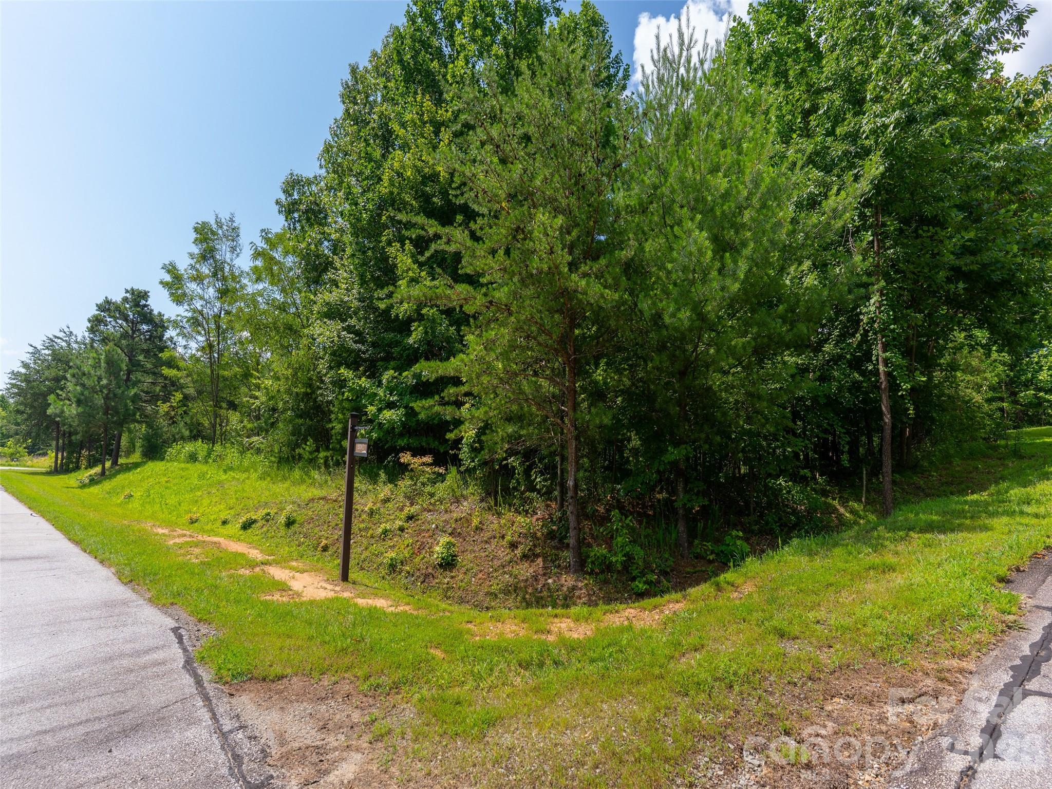 142 Elkton Court Mill Spring NC 28756