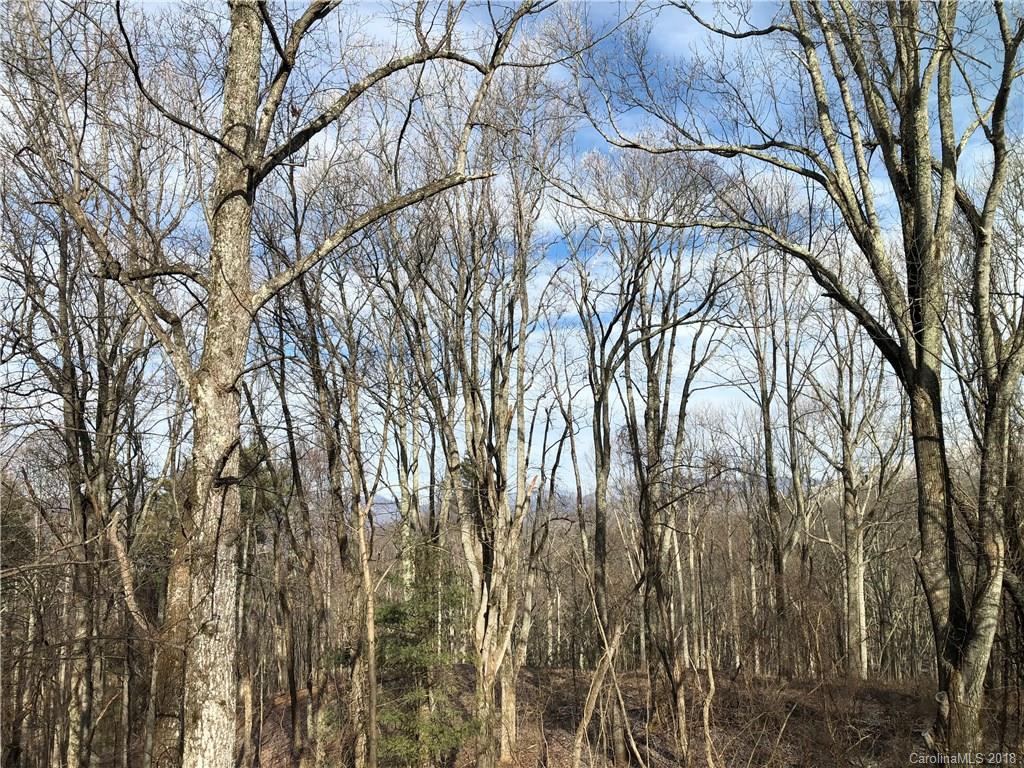 658 Elk Mountain Scenic Highway Asheville NC 28804