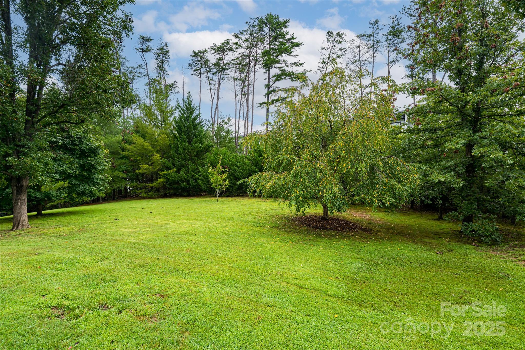 15 Lackey Lane Asheville NC 28804