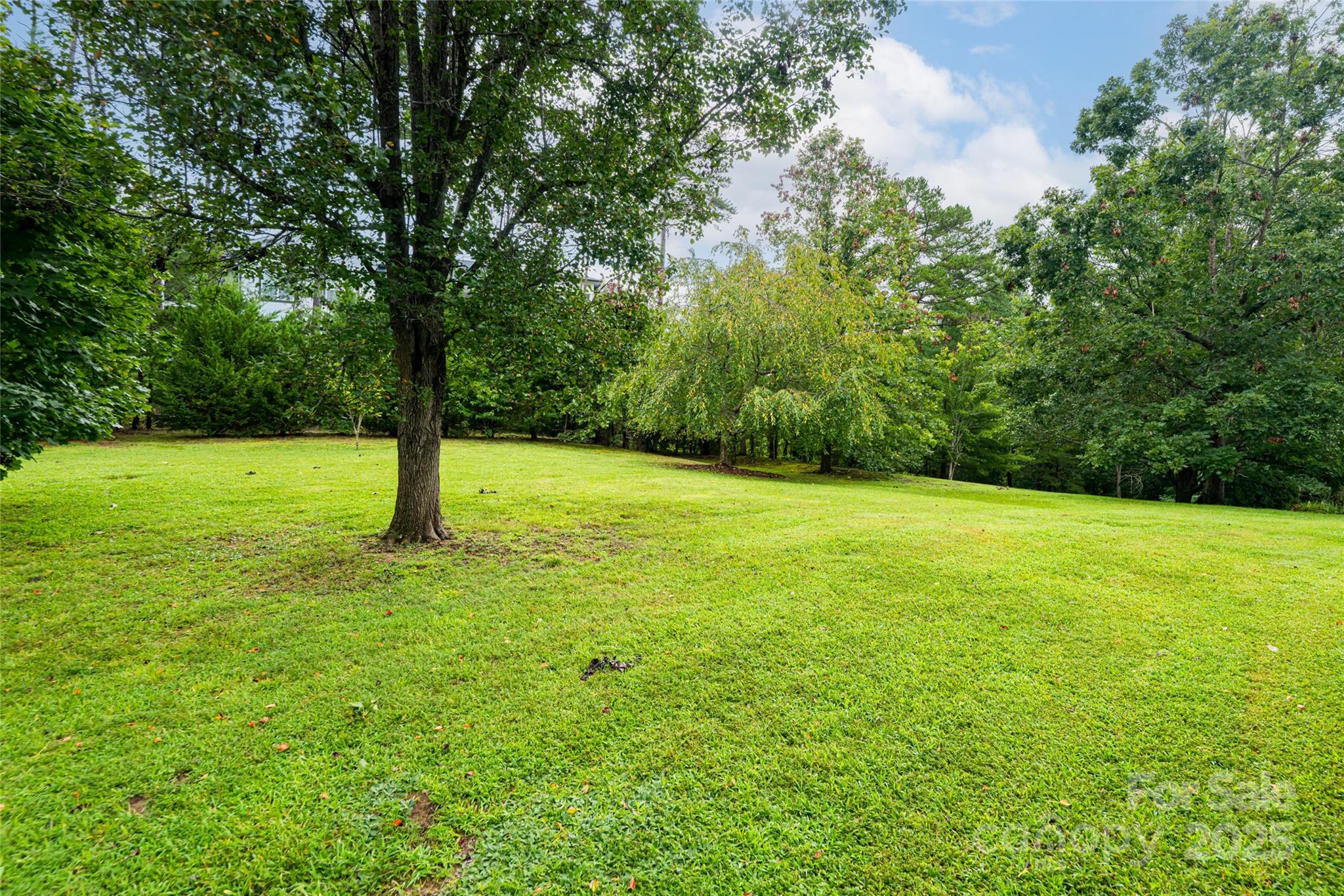 15 Lackey Lane Asheville NC 28804