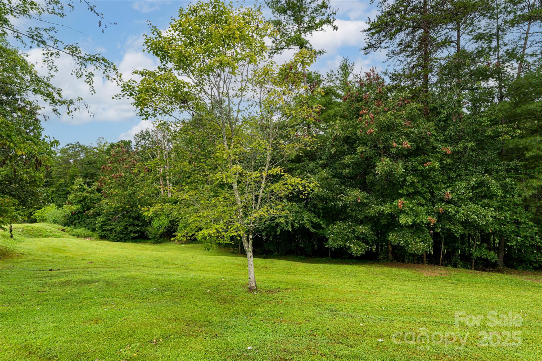 15 Lackey Lane Asheville NC 28804