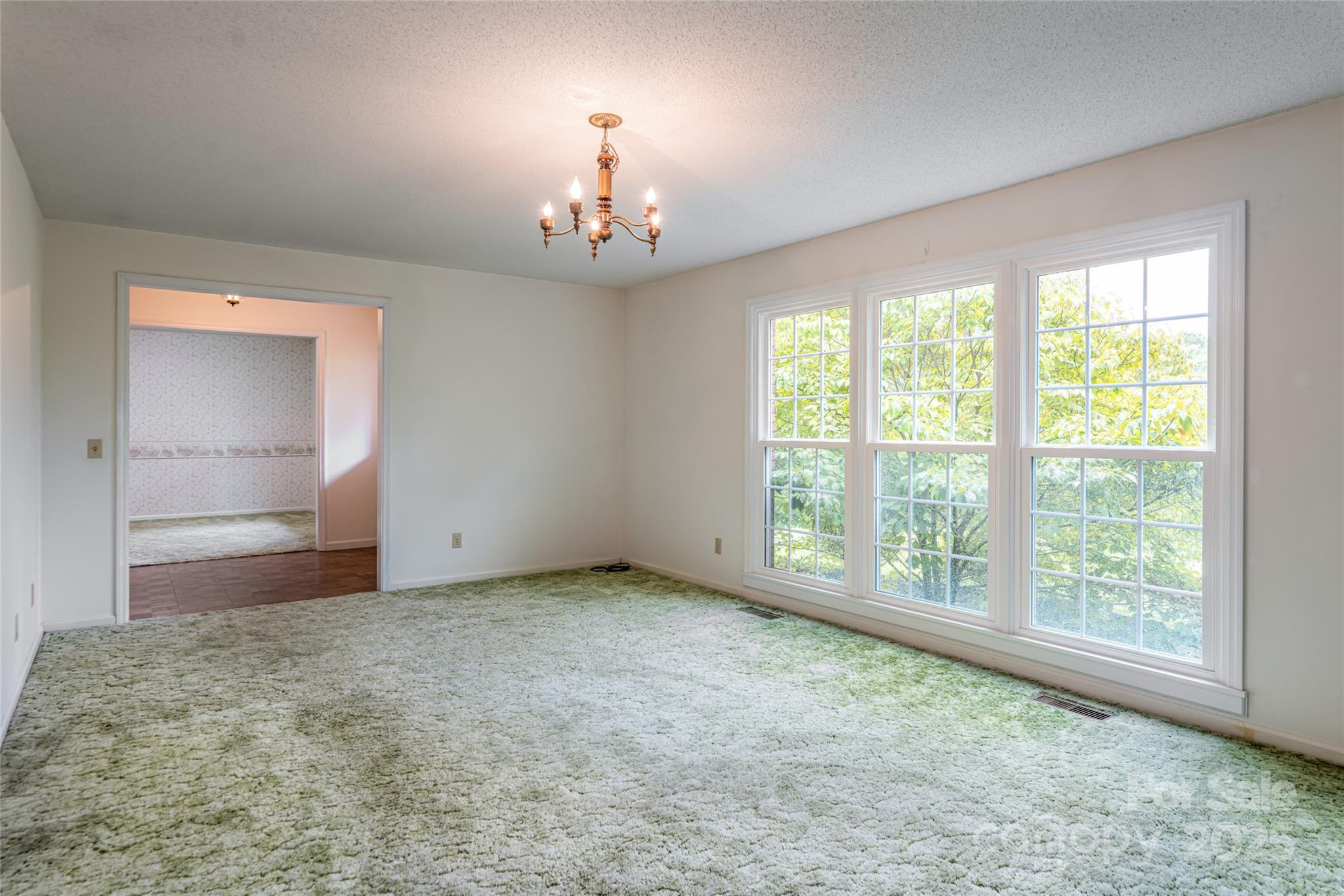 15 Lackey Lane Asheville NC 28804