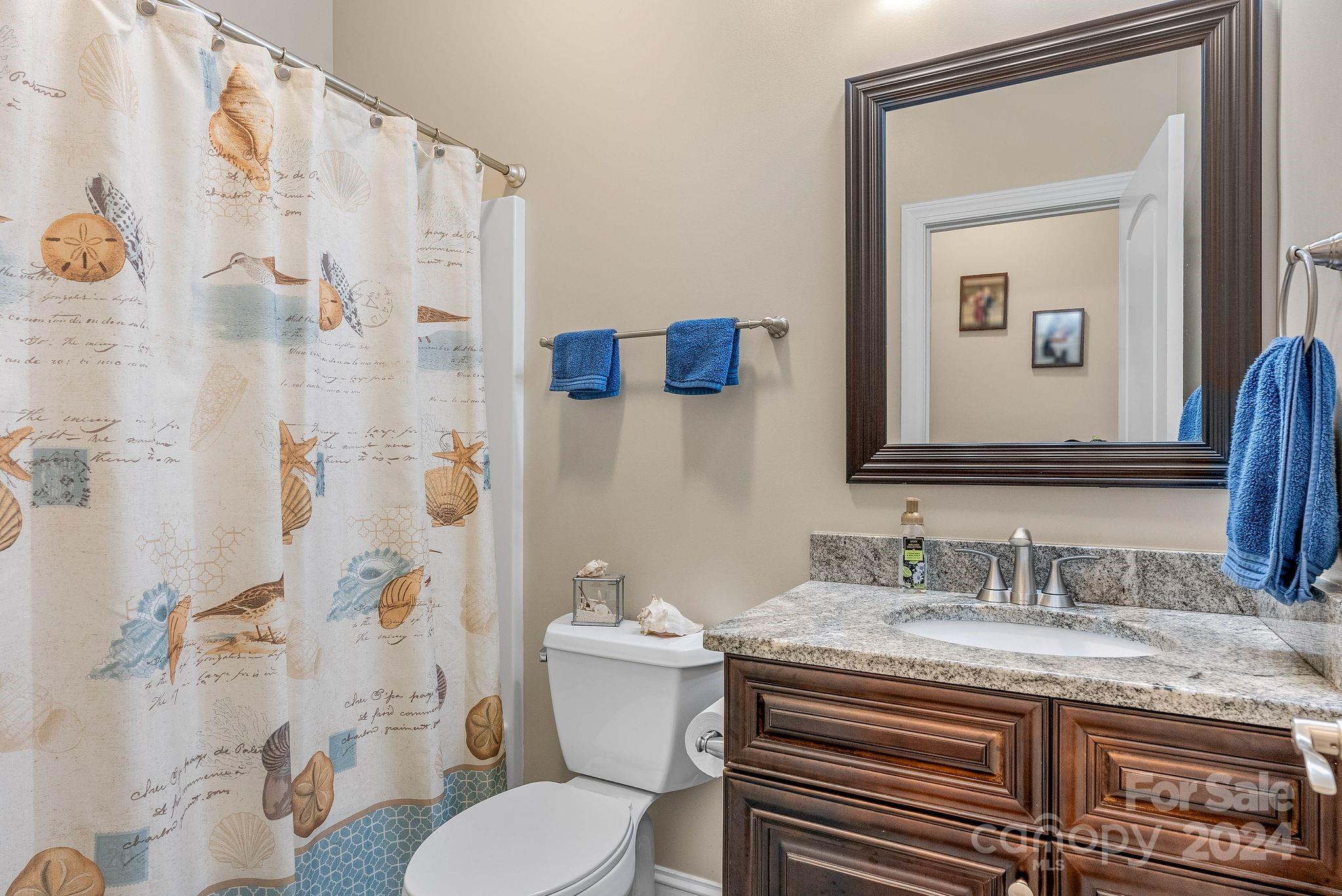 17 Oatgrass Lane Candler NC 28715