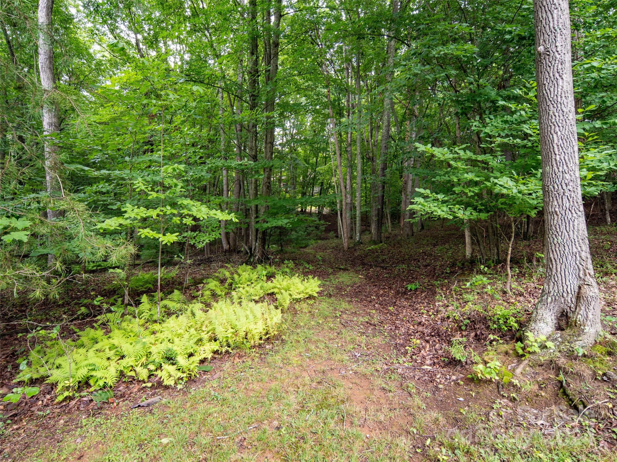 1 Sawyers Pheasant Lane Biltmore Lake NC 28715