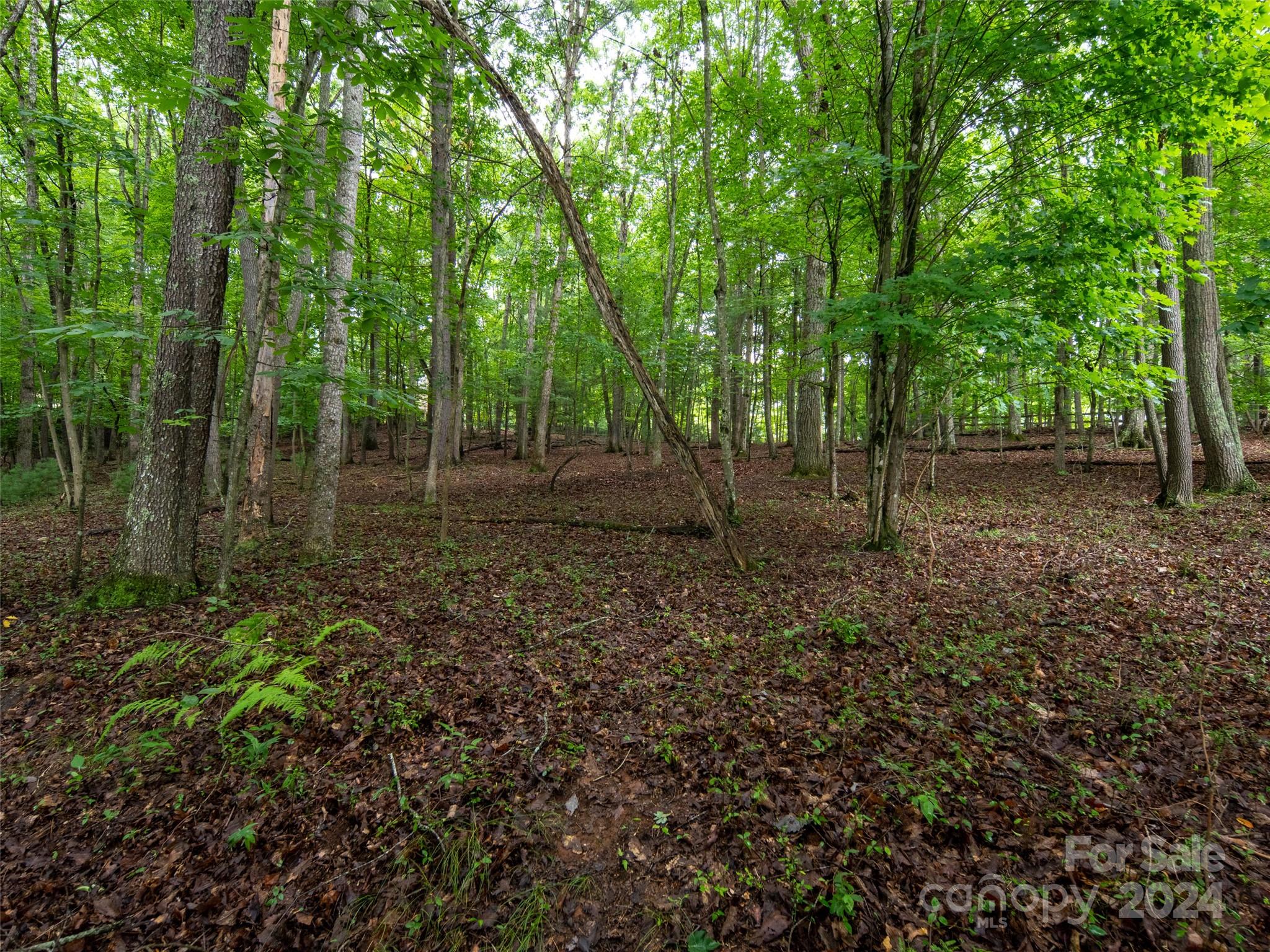 1 Sawyers Pheasant Lane Biltmore Lake NC 28715