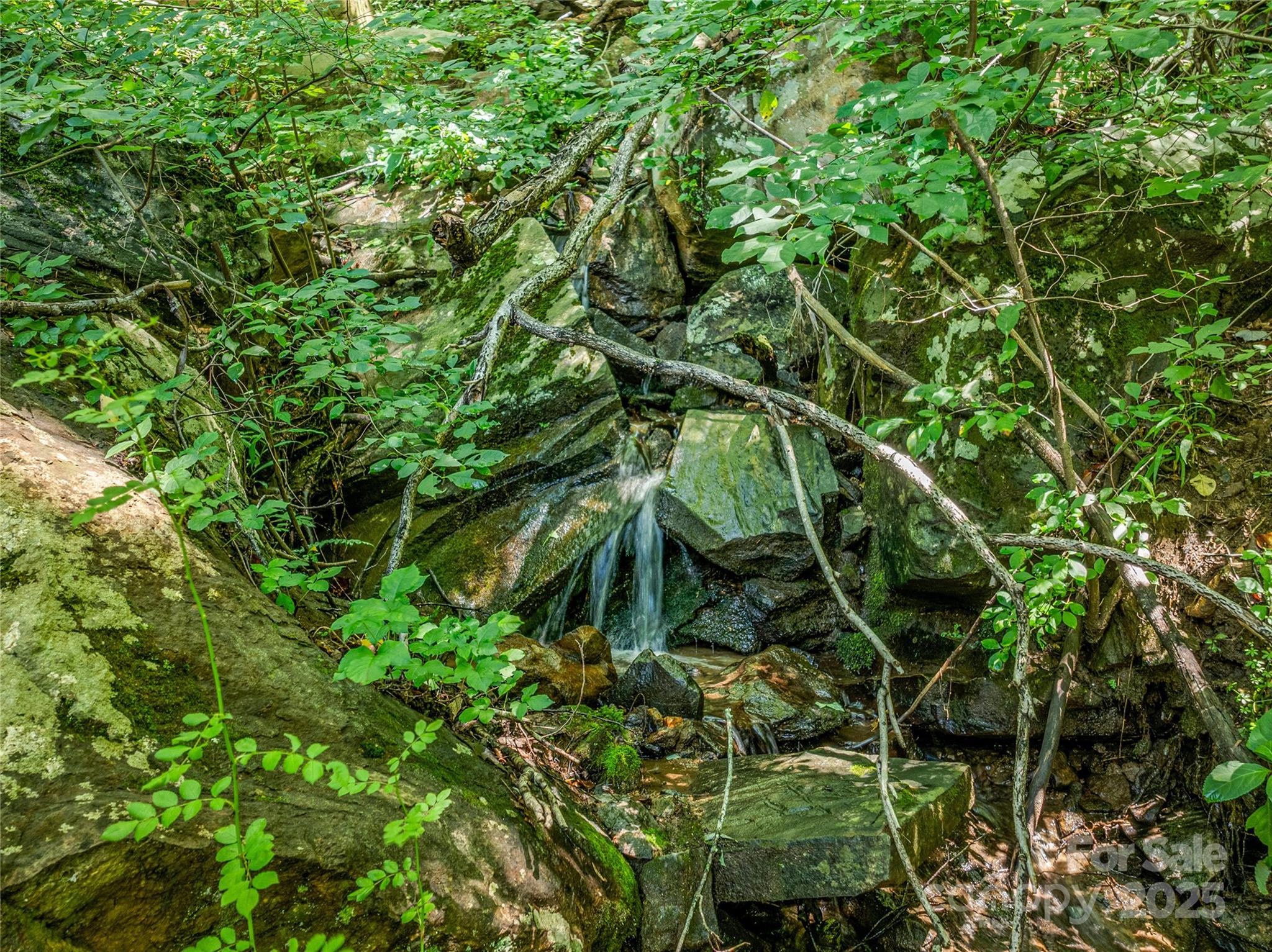 150 Sondley Parkway Asheville NC 28805