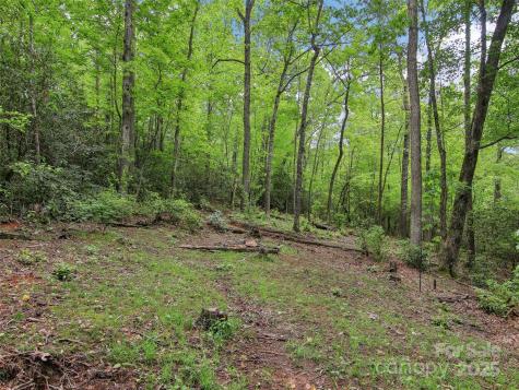66 Executive Estates Drive Old Fort NC 28762