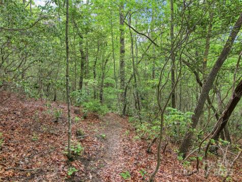 66 Executive Estates Drive Old Fort NC 28762