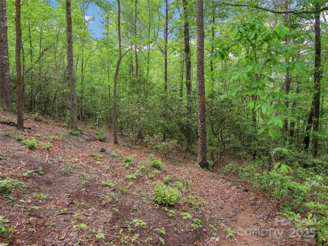 66 Executive Estates Drive Old Fort NC 28762