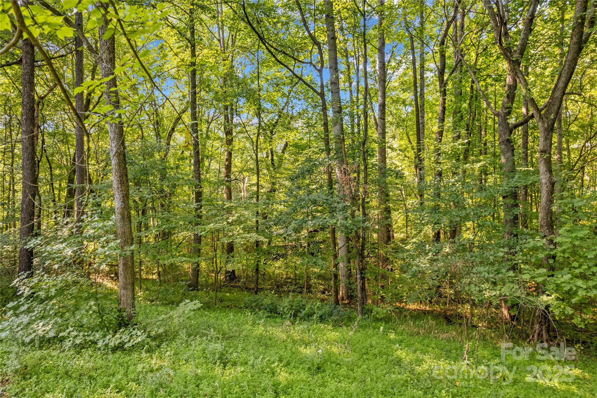 265 Rocky River Road Mooresville NC 28115