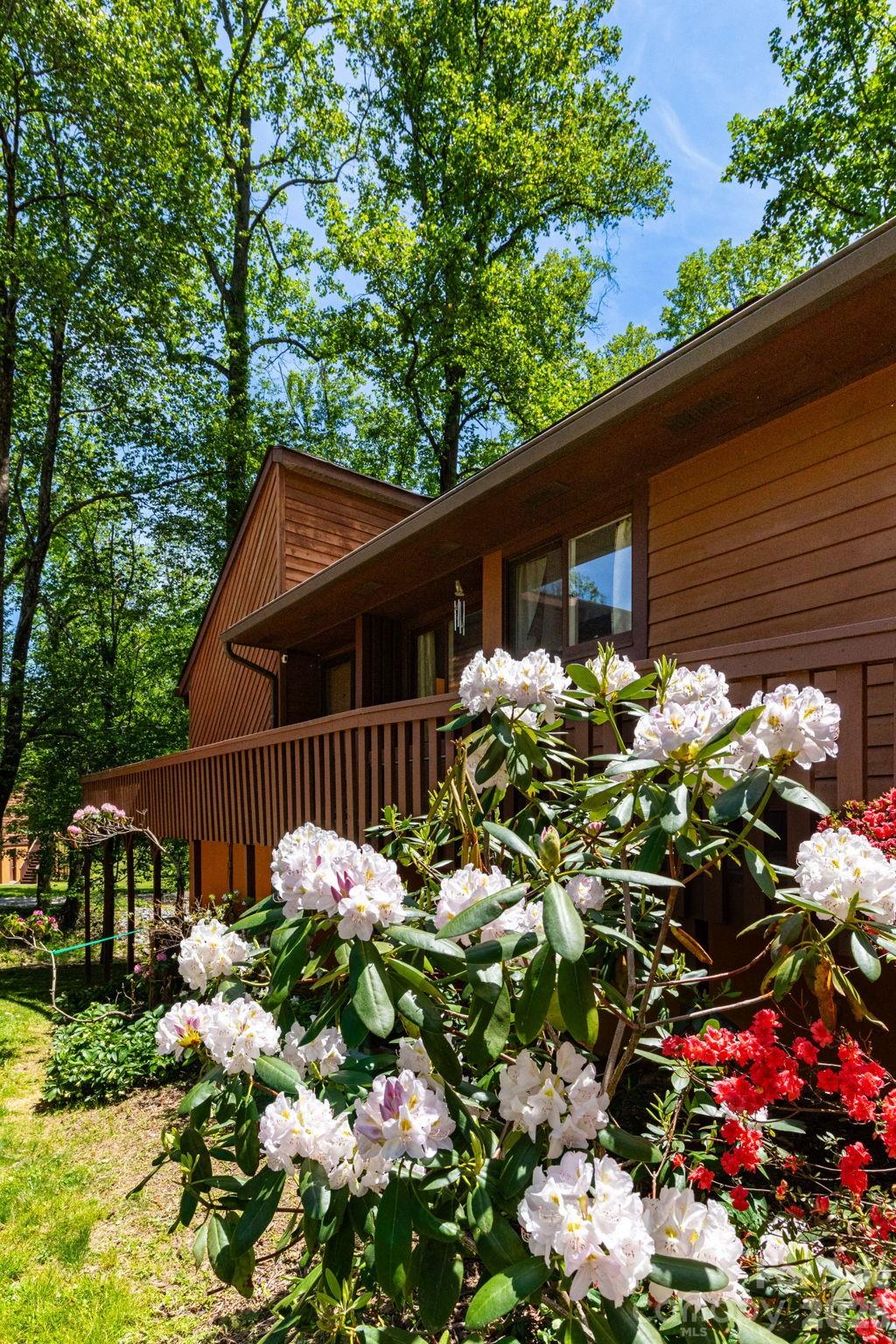5 Wildwood Circle Fletcher NC 28732