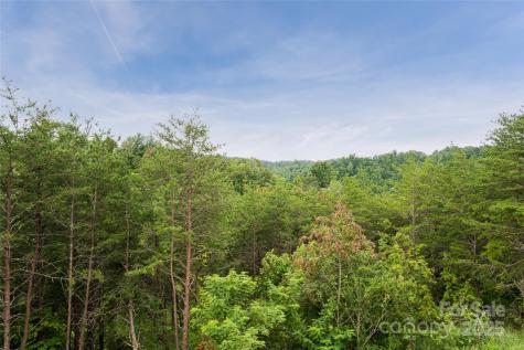 181 Flint Morgan Road Mars Hill NC 28754