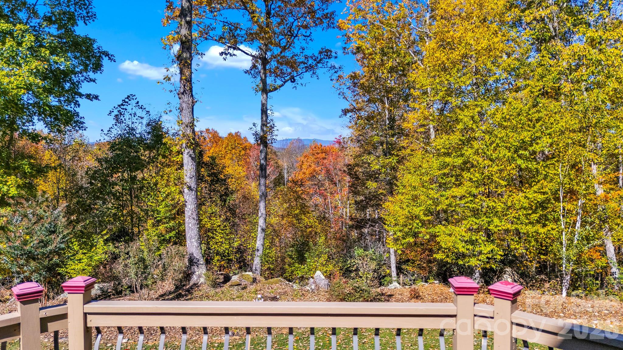 2650 Carson Woods Road Laurel Springs NC 28644