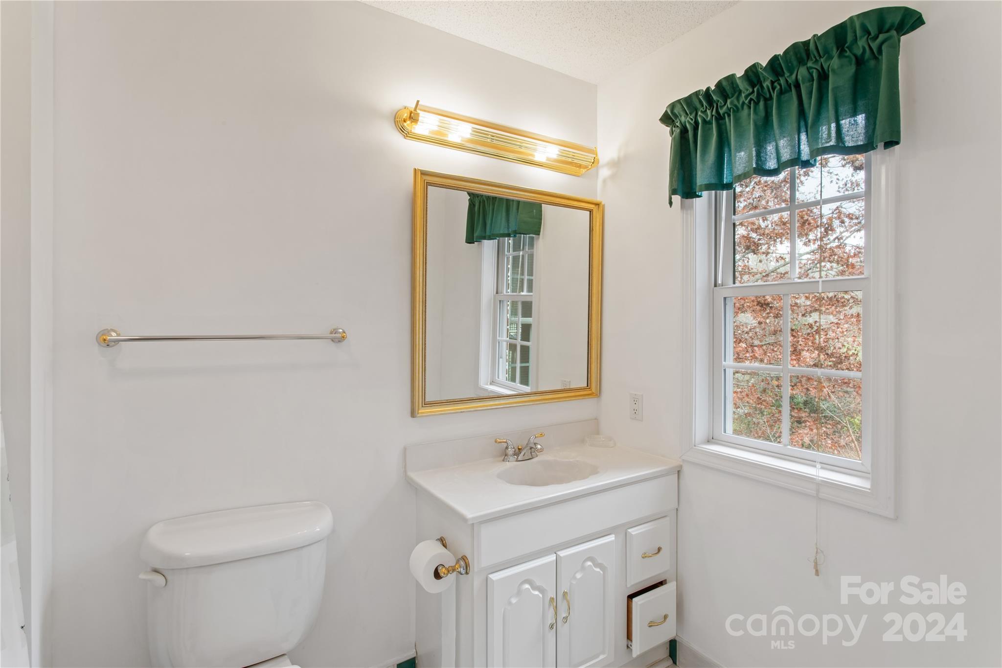 38 Southern Visions Drive Hendersonville NC 28792