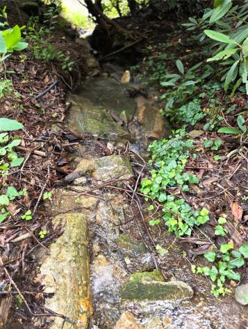 1145 Bearwallow Mountain Road Hendersonville NC 28792