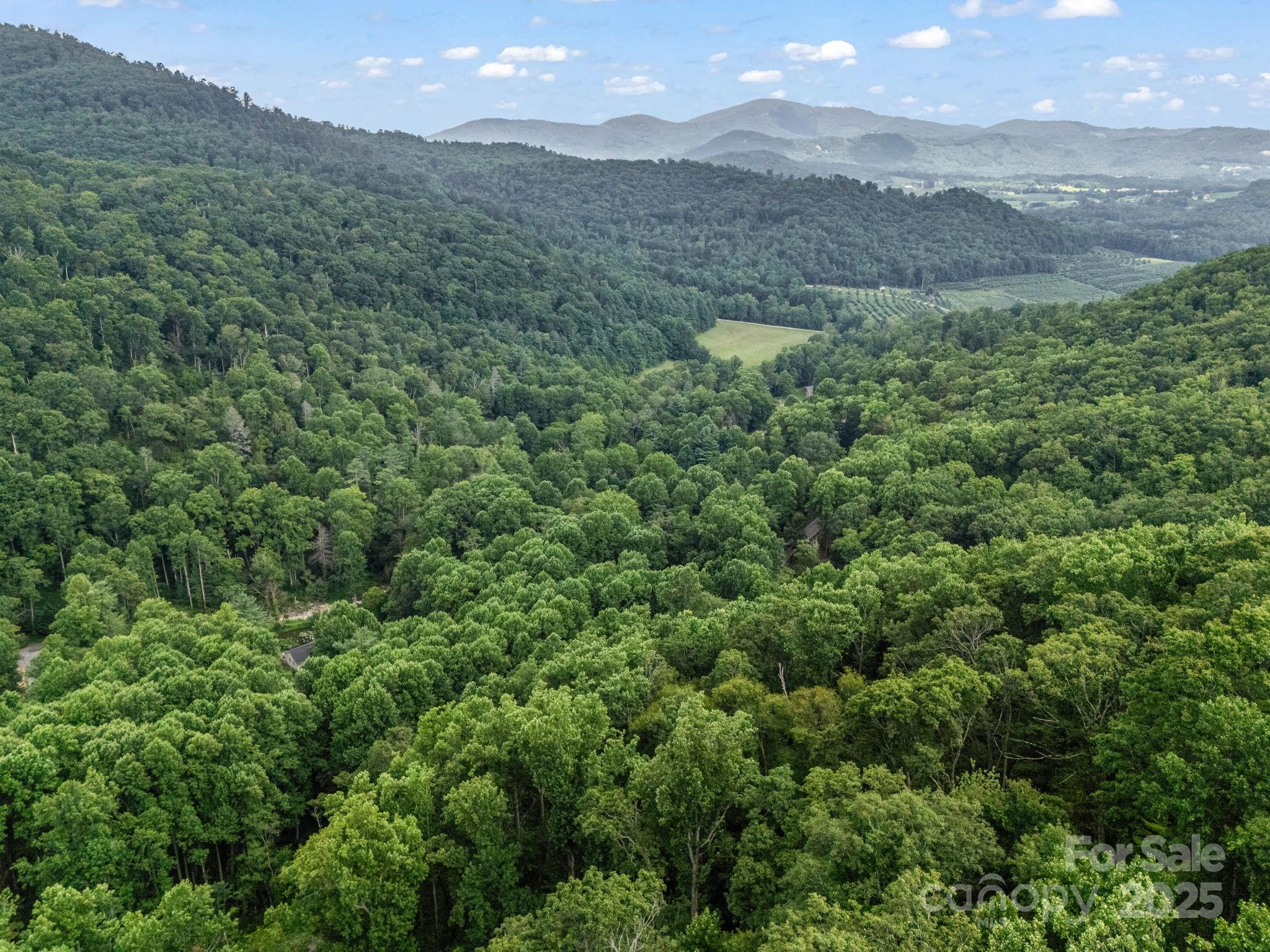 1145 Bearwallow Mountain Road Hendersonville NC 28792