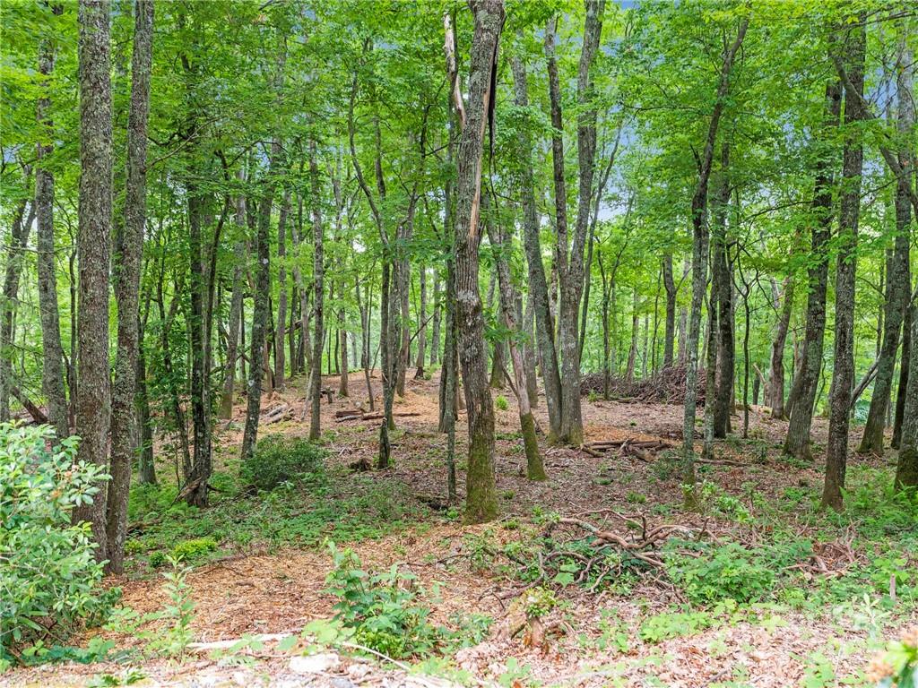 167 Bold Springs Road Sylva NC 28779
