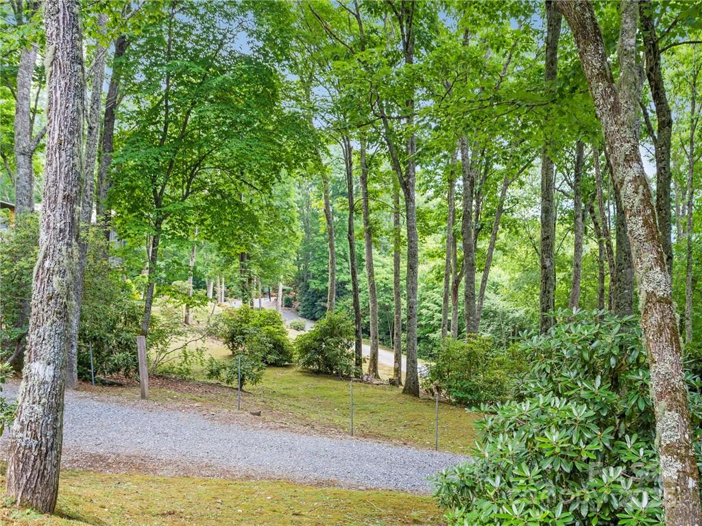 167 Bold Springs Road Sylva NC 28779