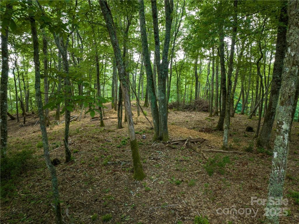 167 Bold Springs Road Sylva NC 28779