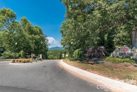 31 Grizzly Drive Leicester NC 28748