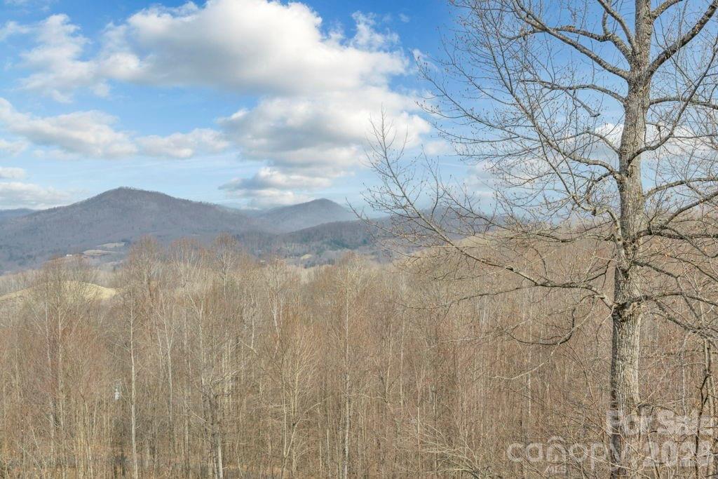461 Arrowhead Ridge Road Spruce Pine NC 28777