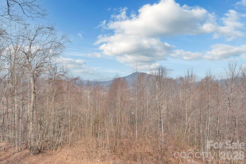 461 Arrowhead Ridge Road Spruce Pine NC 28777