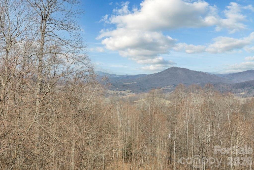 461 Arrowhead Ridge Road Spruce Pine NC 28777