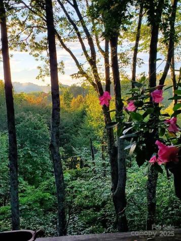 167 Rhododendron Drive Beech Mountain NC 28604