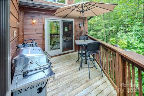 167 Rhododendron Drive Beech Mountain NC 28604