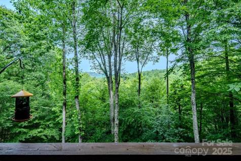 167 Rhododendron Drive Beech Mountain NC 28604