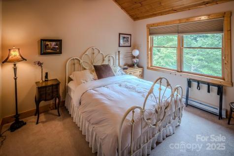 167 Rhododendron Drive Beech Mountain NC 28604