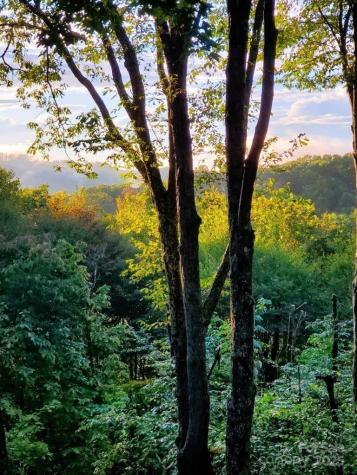 167 Rhododendron Drive Beech Mountain NC 28604