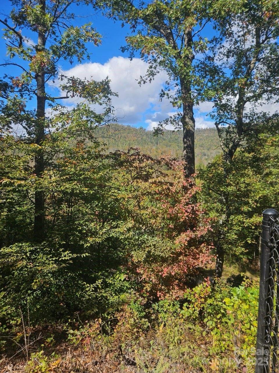 493 Spring Hill Road Bakersville NC 28705