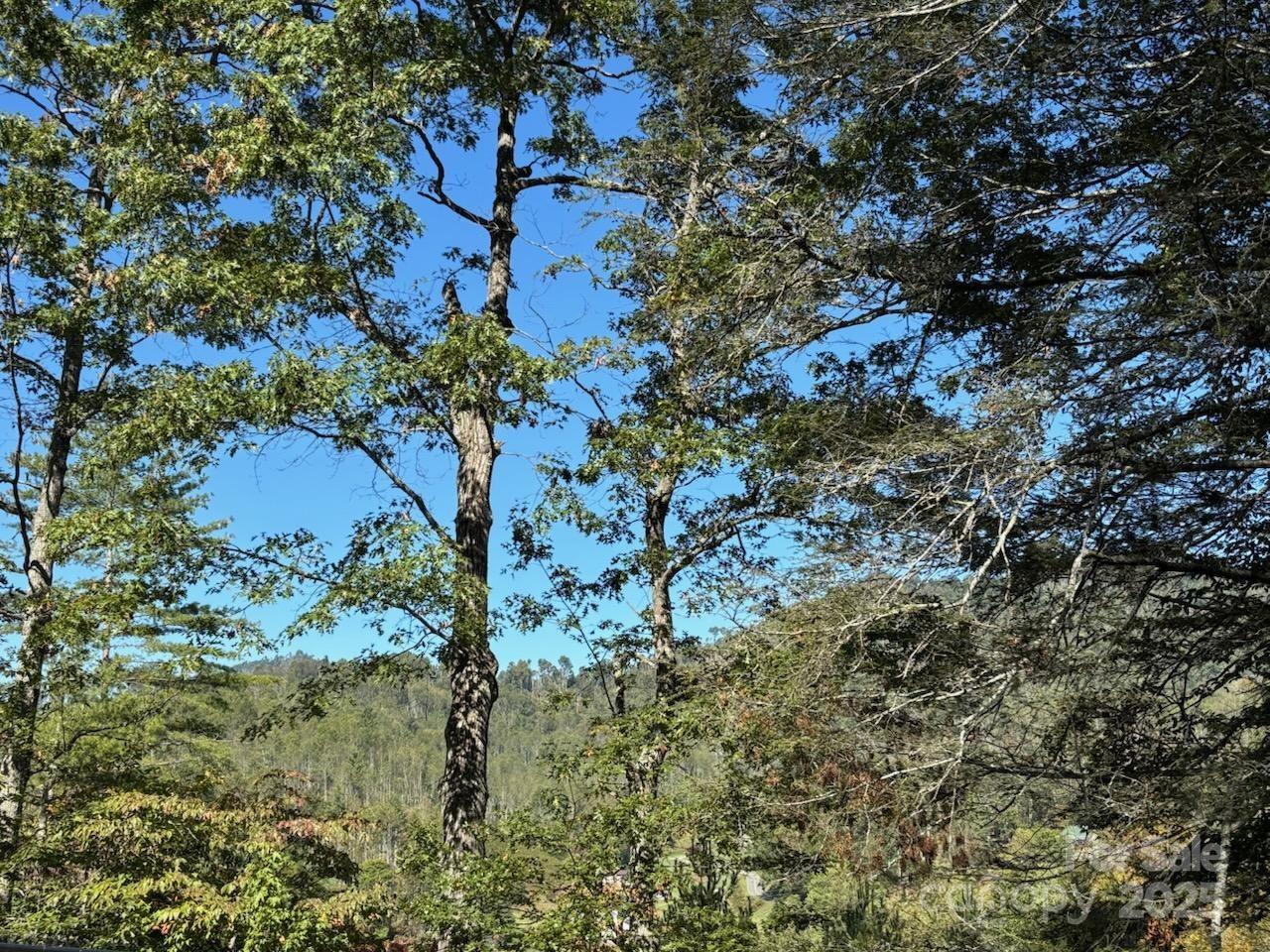 493 Spring Hill Road Bakersville NC 28705