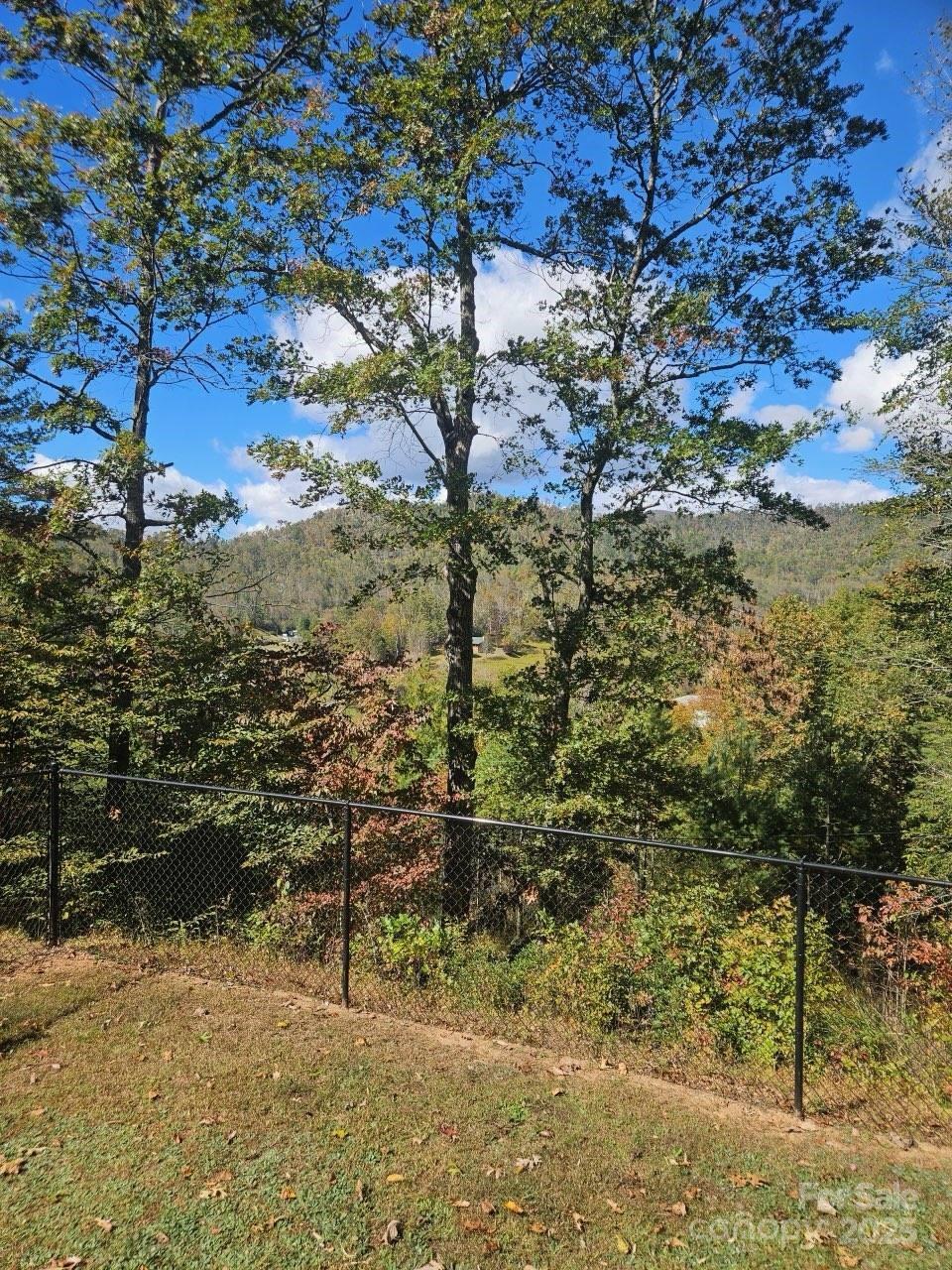 493 Spring Hill Road Bakersville NC 28705