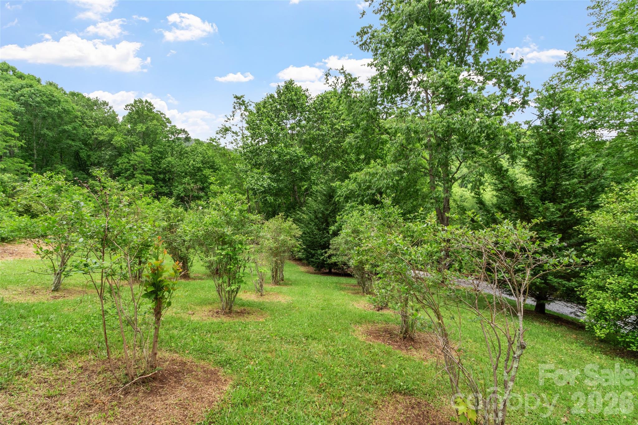 11820 State Highway 197 S Burnsville NC 28714