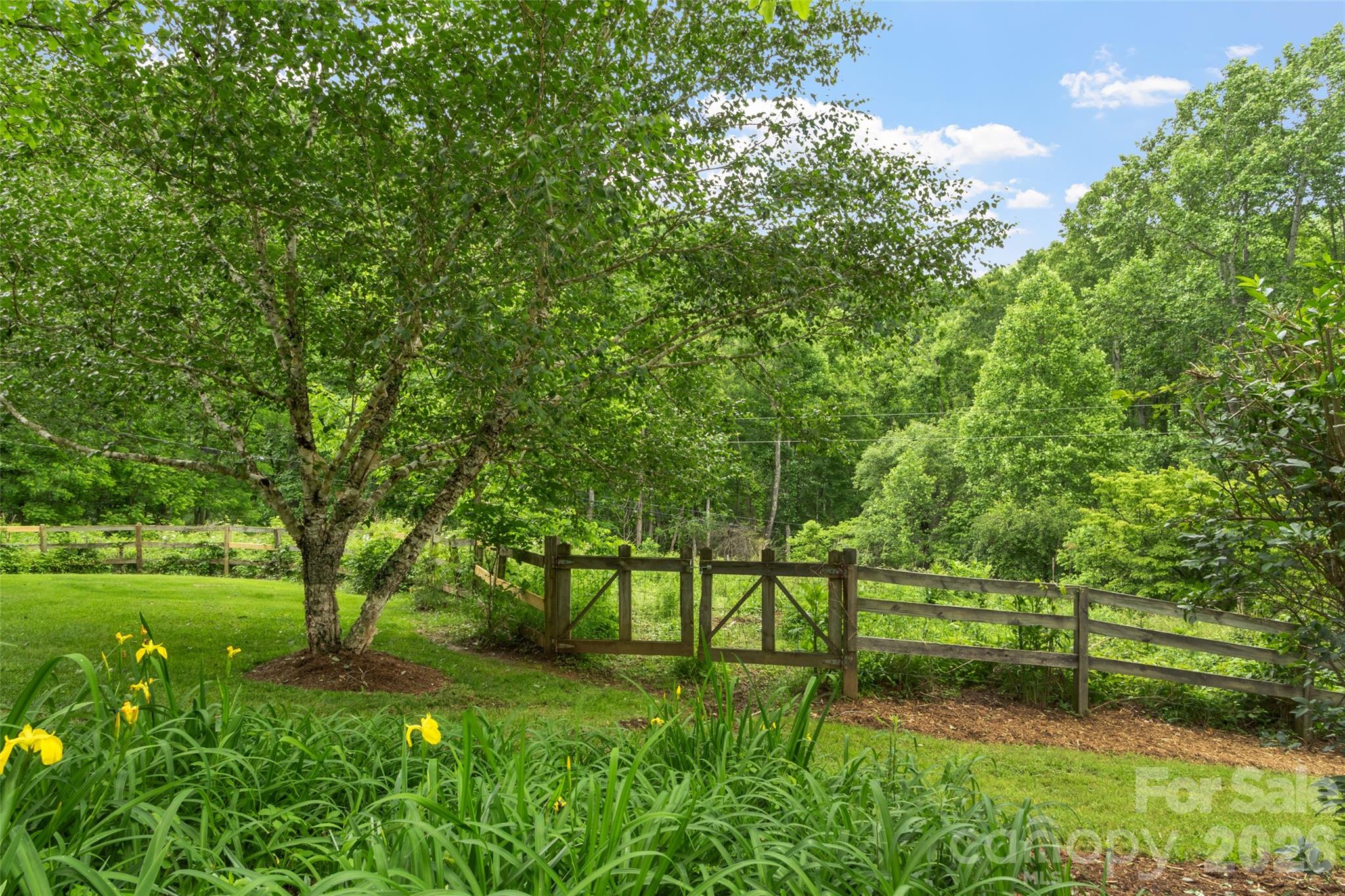 11820 State Highway 197 S Burnsville NC 28714