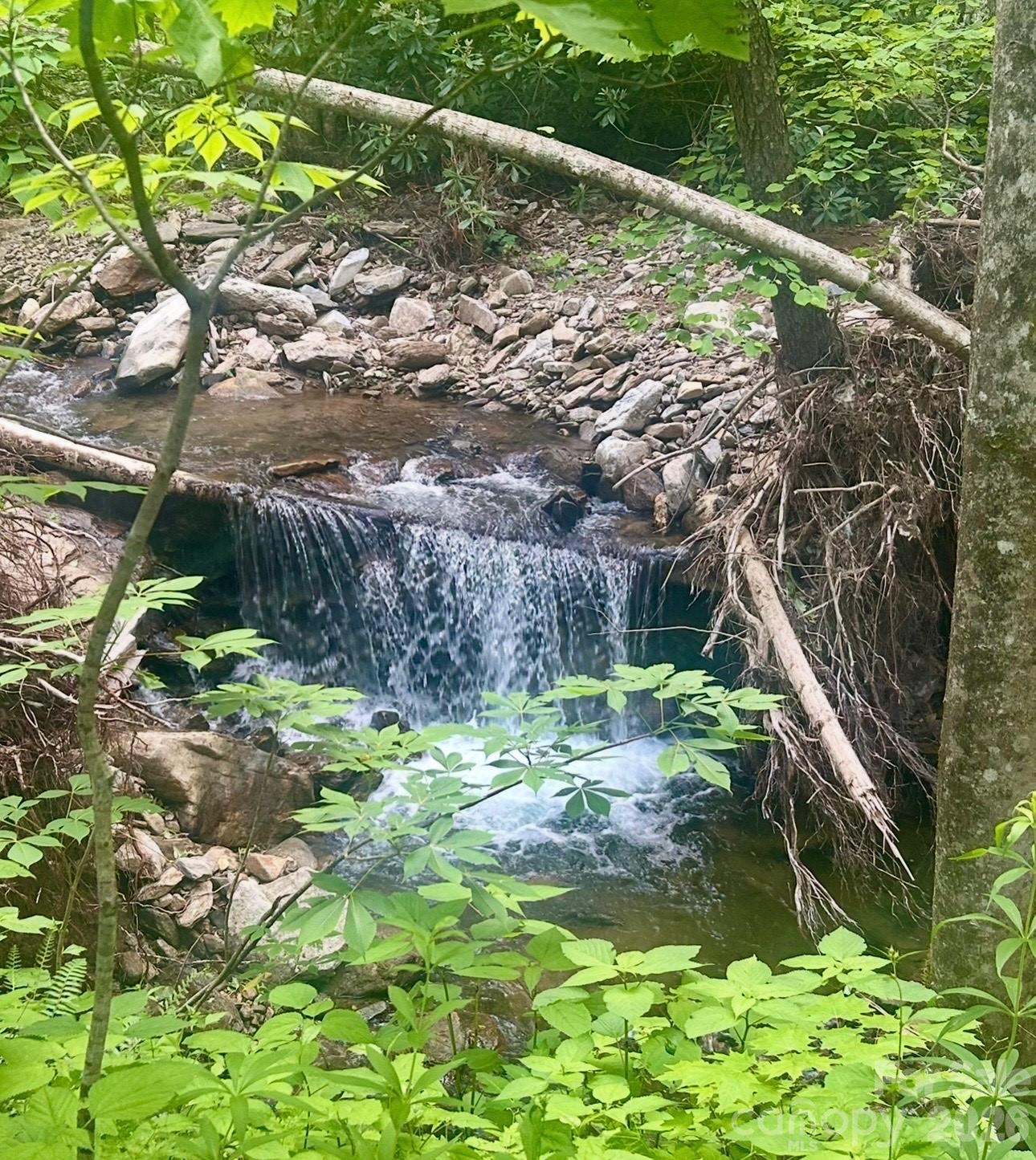 11820 State Highway 197 S Burnsville NC 28714