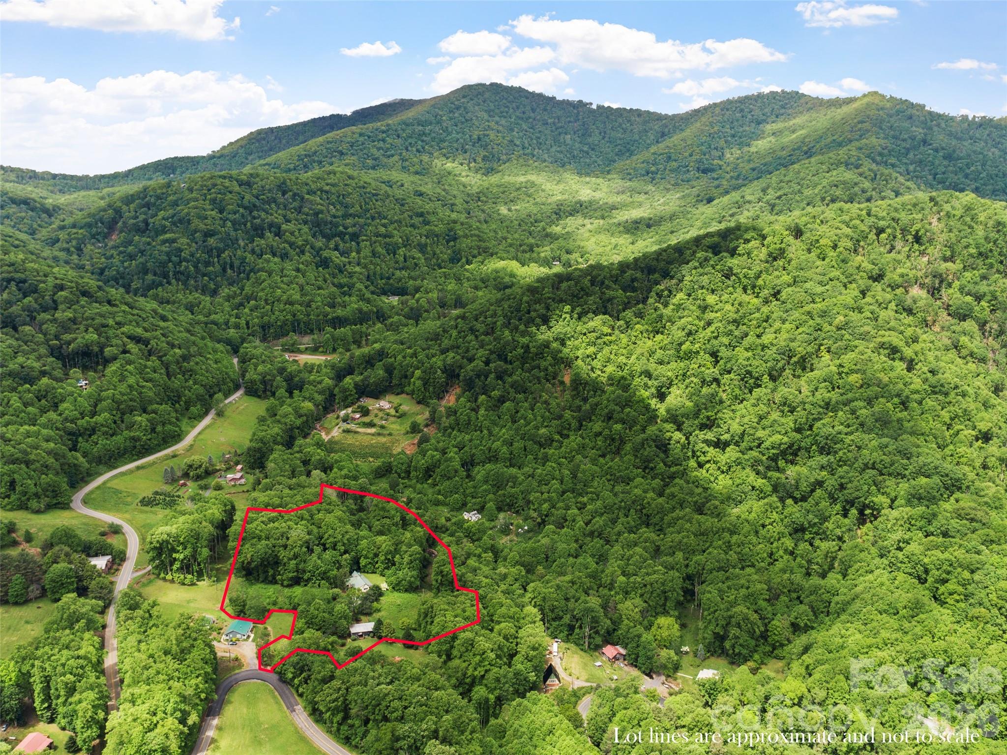 11820 State Highway 197 S Burnsville NC 28714