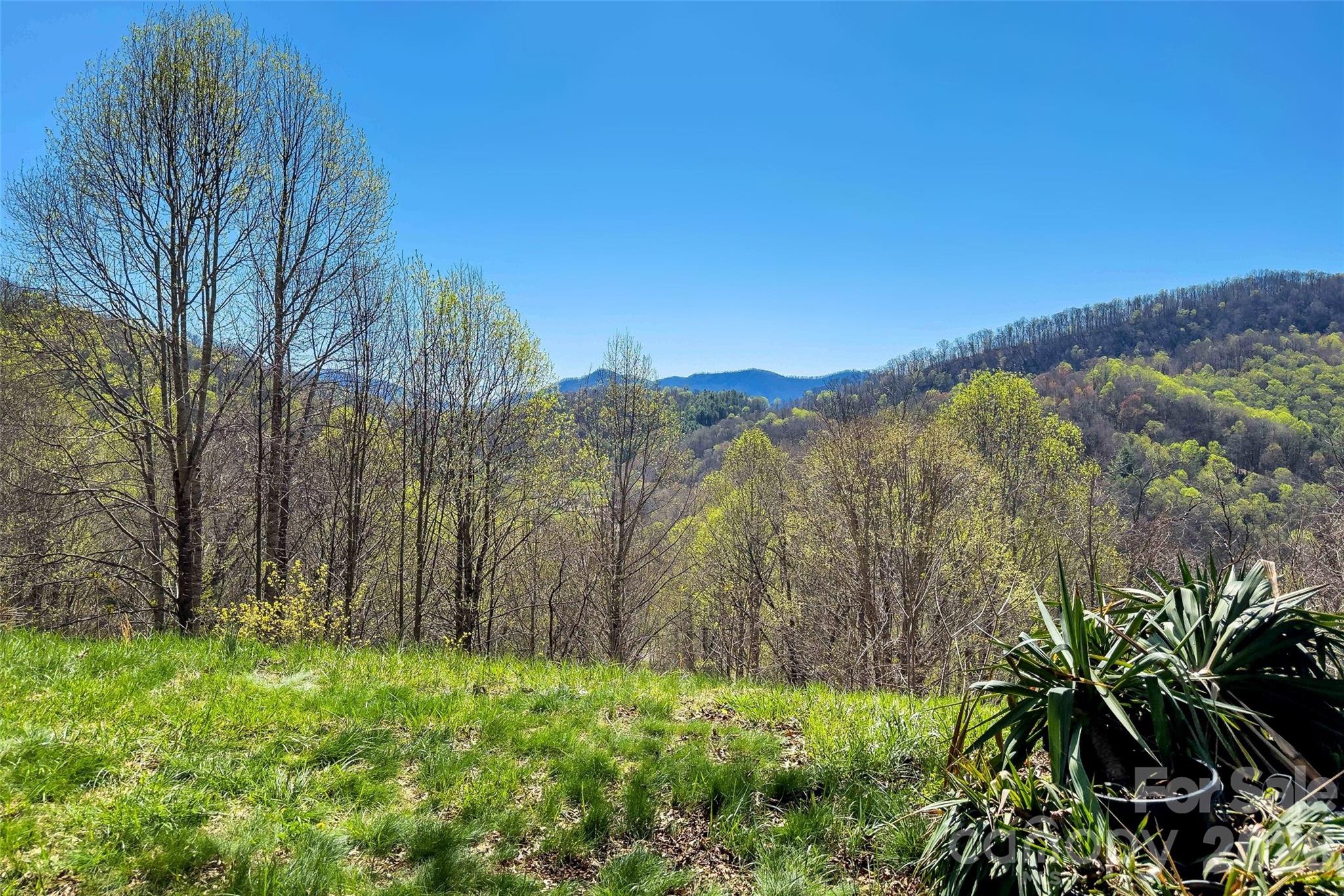 311 Pisgah Mine Road Burnsville NC 28714
