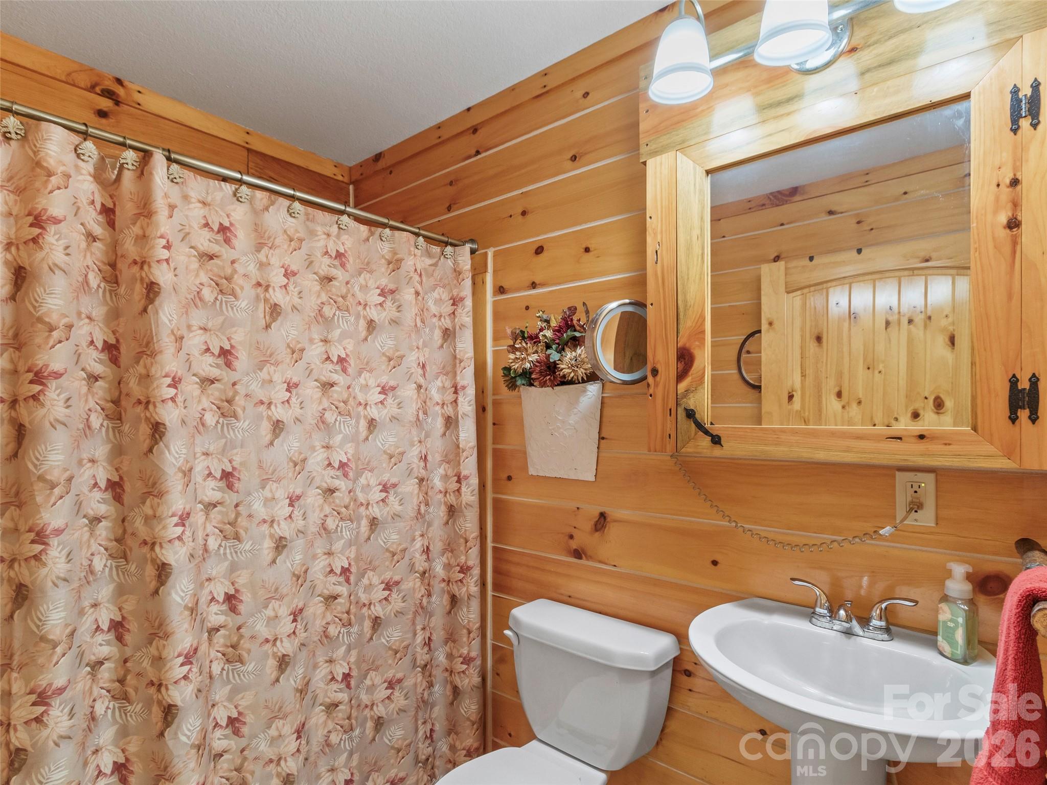 1447/1421 Ayers Mountain Road Green Mountain NC 28740