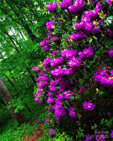 23 Hunting Lodge Drive Black Mountain NC 28711