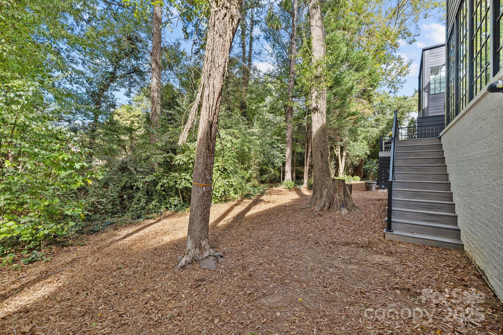 9004 Tynecastle Commons Court Charlotte NC 28226